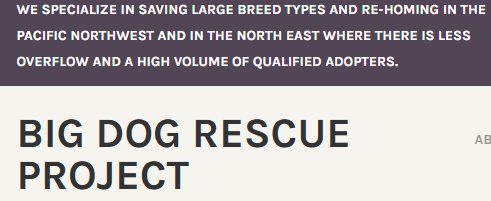 Big Dog Rescue