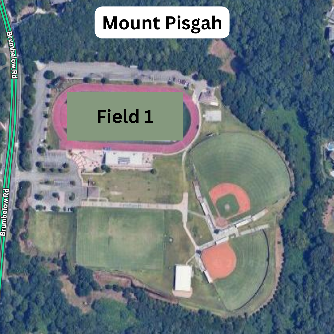 Mount Pisgah fields