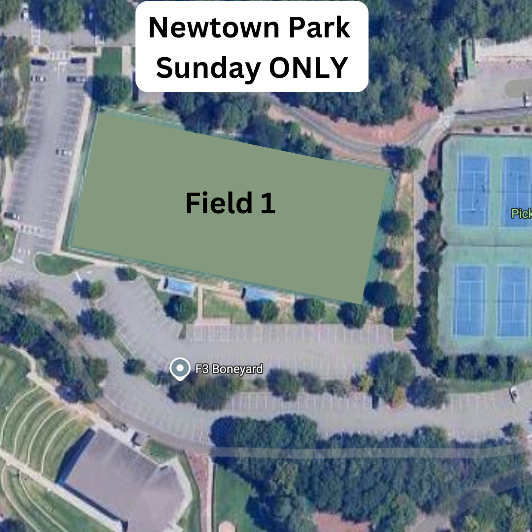 Newtown park fields